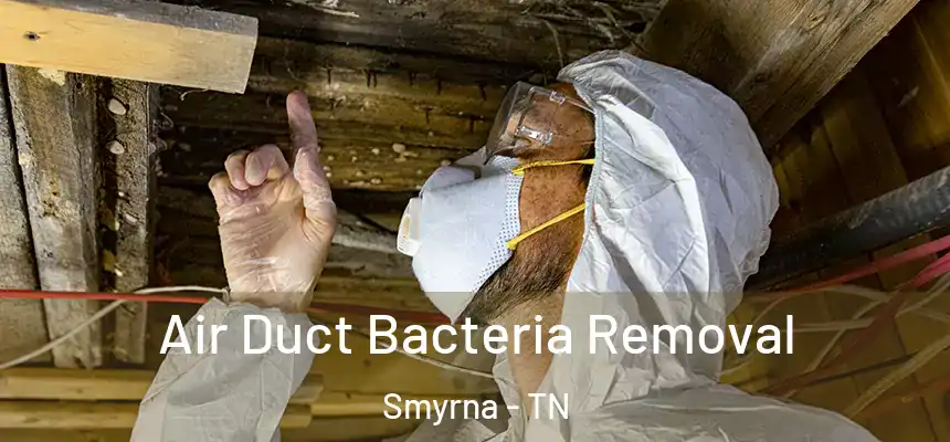  Air Duct Bacteria Removal Smyrna - TN