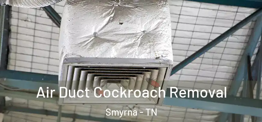  Air Duct Cockroach Removal Smyrna - TN