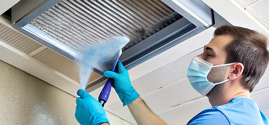 Proactive Dryer Vent & Auxiliary Duct Pollen Cleanup in Smyrna, TN