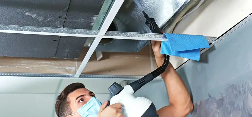 Our Air Duct Rodent Removal Services in Smyrna, TN