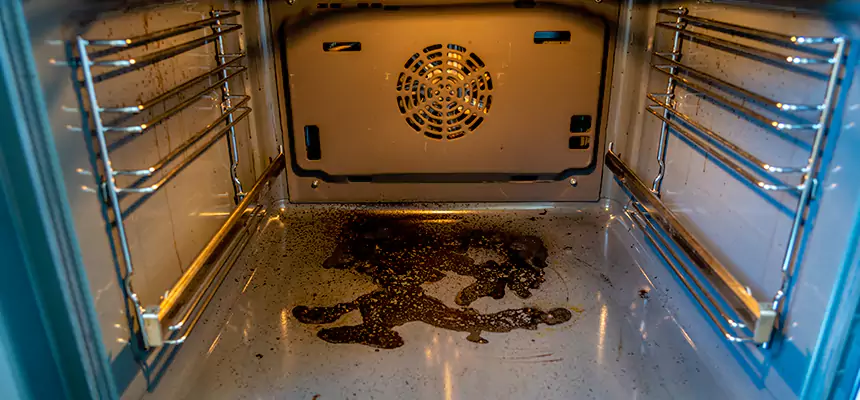 Our Dryer Vent Mold Cleaning Services in Smyrna, TN