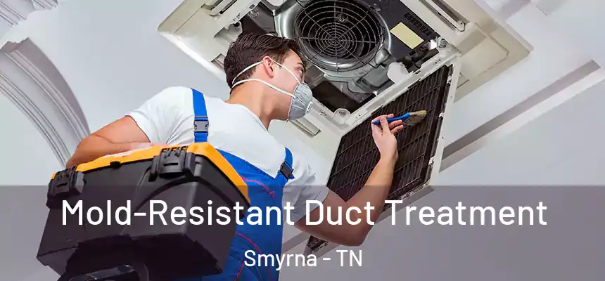  Mold-Resistant Duct Treatment Smyrna - TN