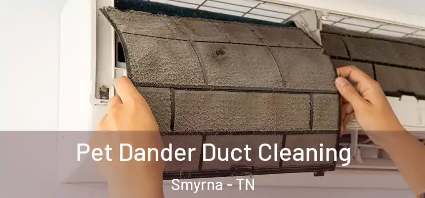  Pet Dander Duct Cleaning Smyrna - TN