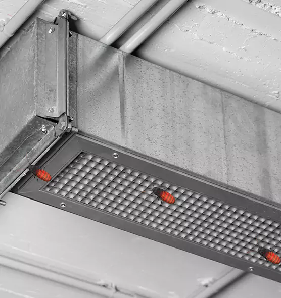 Affordable Insect Removal from Air Ducts in Smyrna, TN