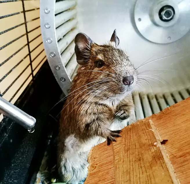 Why Homeowners & Businesses Trust Us Smyrna, TN