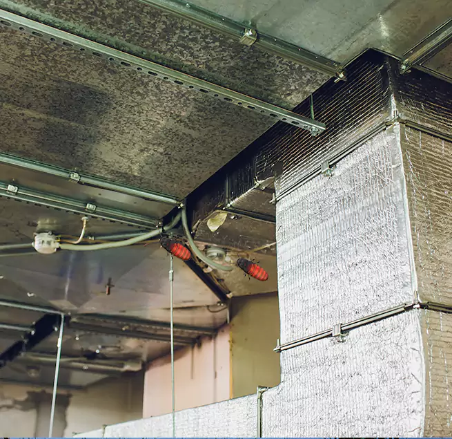 Why Homeowners & Businesses Trust Us Smyrna, TN?