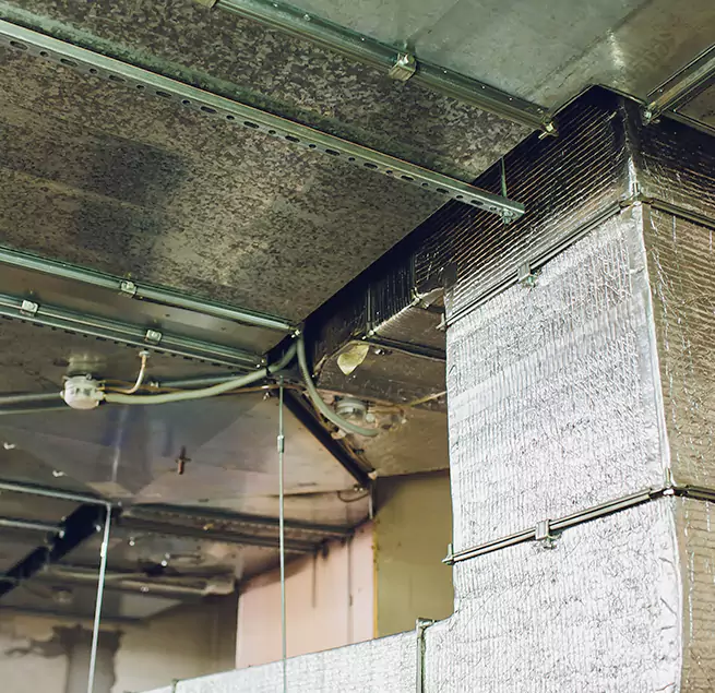 Why Homeowners & Businesses Trust Us in Smyrna, TN?